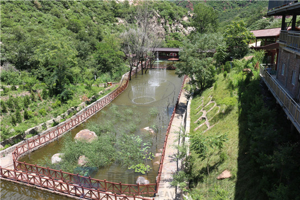 “荷風送香氣，竹露滴清響”洛陽隆中重工2019年度員工旅游活動--登封大熊山仙人谷一日游